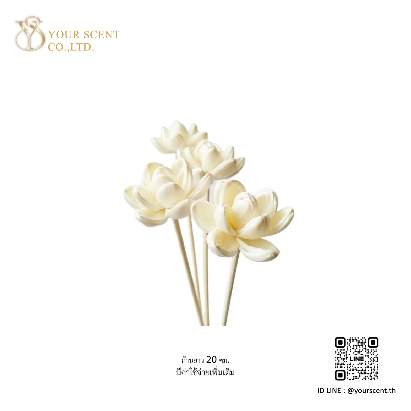 Diffusers ก้านไม้หอม Model 013